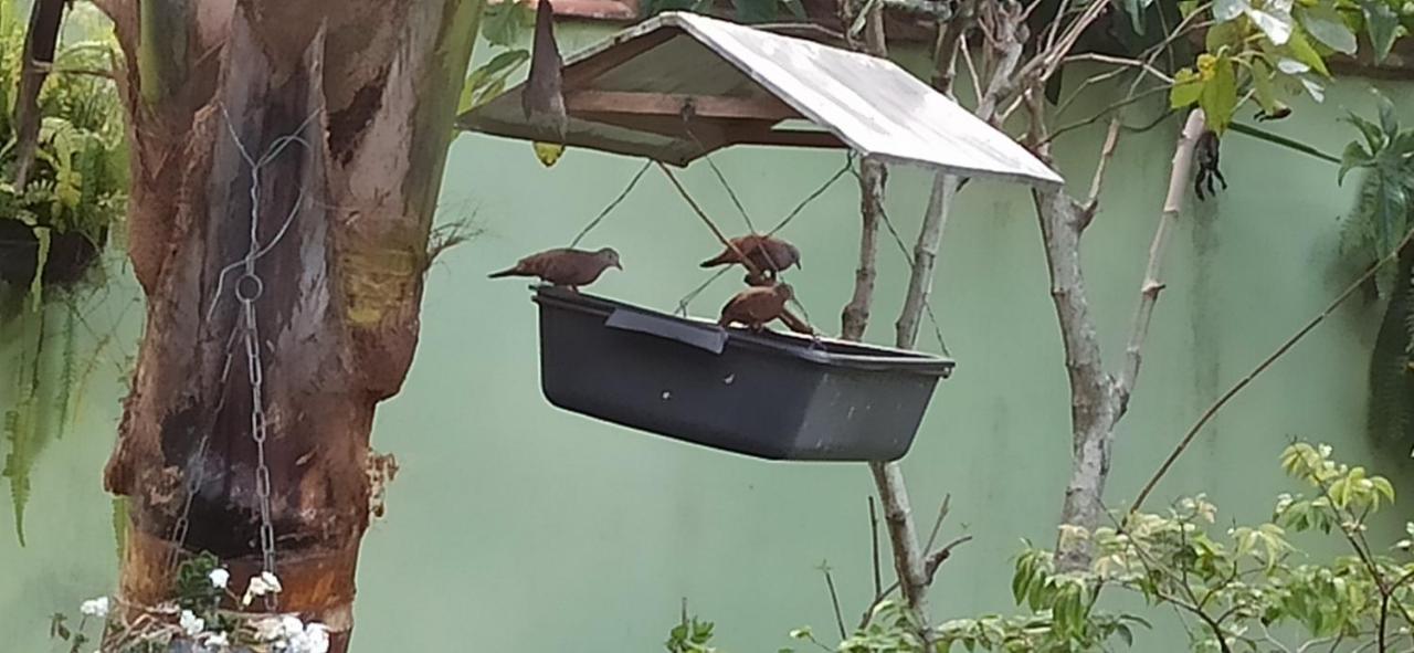 Espaco Aconchego Com Ar-Condicionado E Amplo Jardim Villa Caraguatatuba Dış mekan fotoğraf