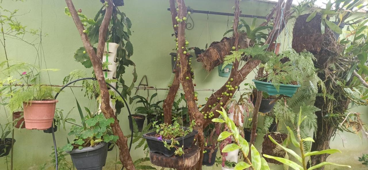 Espaco Aconchego Com Ar-Condicionado E Amplo Jardim Villa Caraguatatuba Dış mekan fotoğraf
